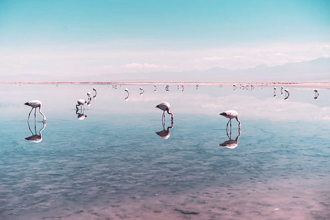 D'Atacama à l'île de Pâques